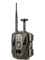 BL480L-P