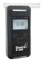Динго Е-200