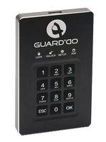 GuardDo 500Гб